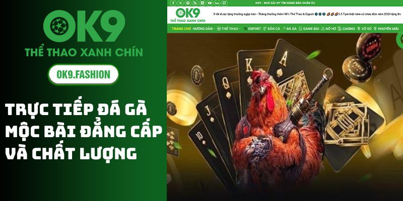 OK9 - Trực Tiếp Đá Gà Mộc Bài Đẳng Cấp Và Chất Lượng 1 Trực Tiếp Đá Gà Mộc Bài