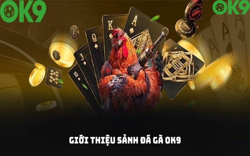 OK9 - Trực Tiếp Đá Gà Mộc Bài Đẳng Cấp Và Chất Lượng 2 OK9 là thương hiệu trực tiếp đá gà Mộc Bài đẳng cấp