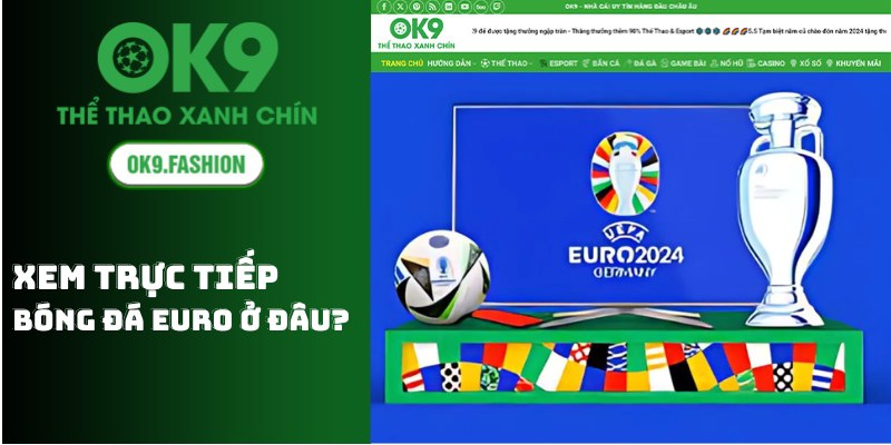 Xem trực tiếp bóng đá Euro ở đâu? Làm sao để xem bóng đá? 1 Xem trực tiếp bóng đá Euro ở đâu