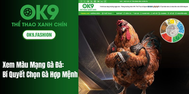 Xem Màu Mạng Gà Đá: Bí Quyết Chọn Gà Hợp Mệnh 1 Xem Màu Mạng Gà Đá
