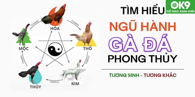 Xem Màu Mạng Gà Đá: Bí Quyết Chọn Gà Hợp Mệnh 4 Xem màu mạng gà đá theo ngày từng mệnh trong ngũ hành