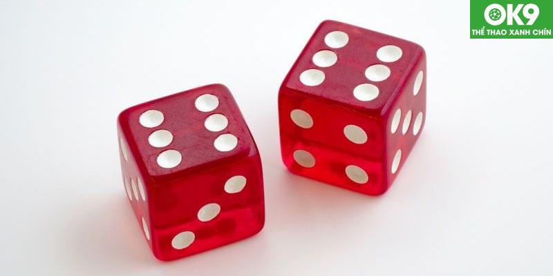 Xì ngầu - Tựa Game Chất Lượng Cho Bạn Thỏa Sức Giải trí 2024 6 Lưu ý quan trọng cần nắm khi tham gia đặt cược